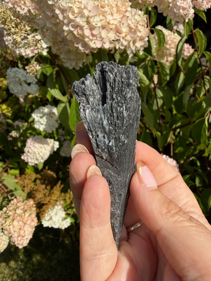 Black Kyanite Blade Specimen from Brazil
