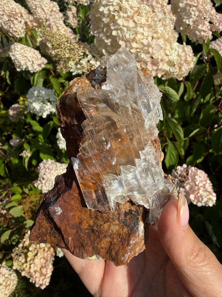 Quality Clear Gypsum Selenite Specimen from Guizhou