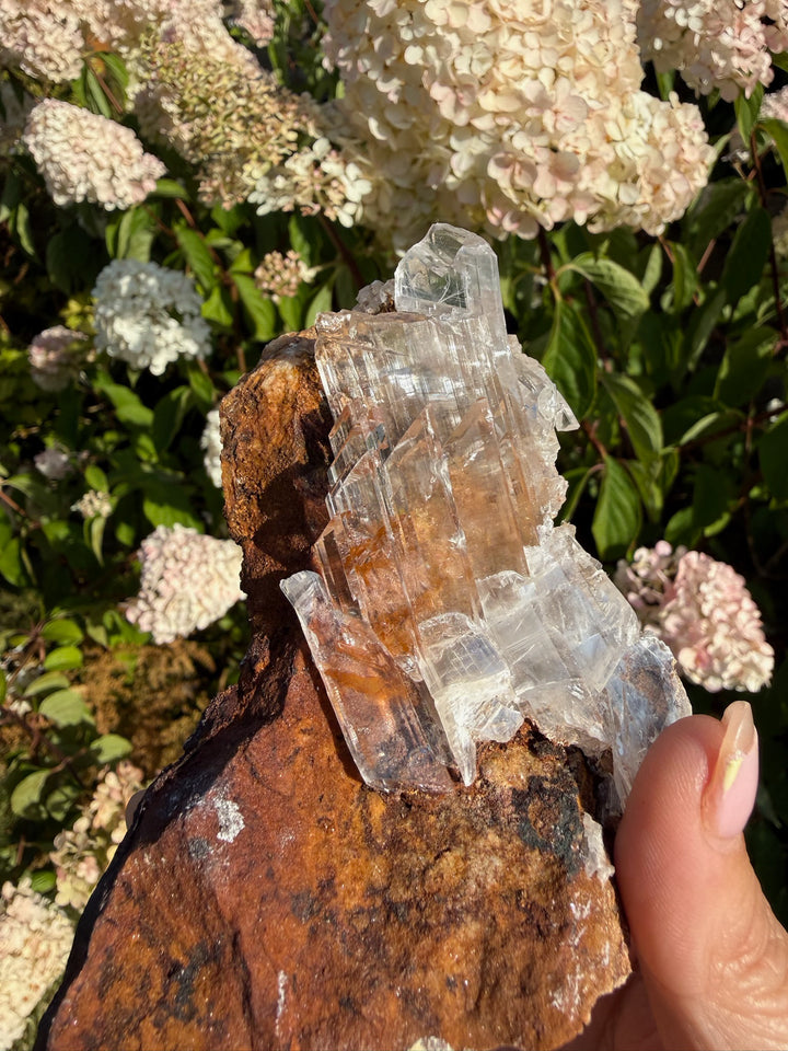 Quality Clear Gypsum Selenite Specimen from Guizhou