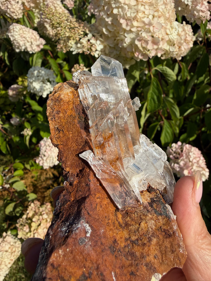 Quality Clear Gypsum Selenite Specimen from Guizhou