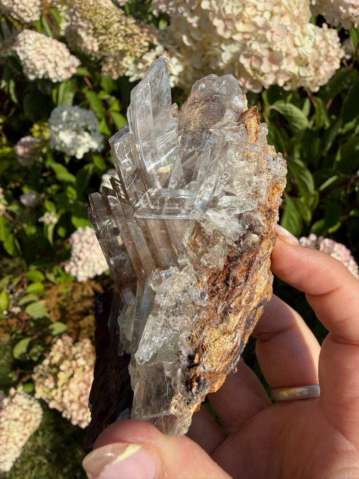 Quality Clear Gypsum Selenite Specimen from Guizhou