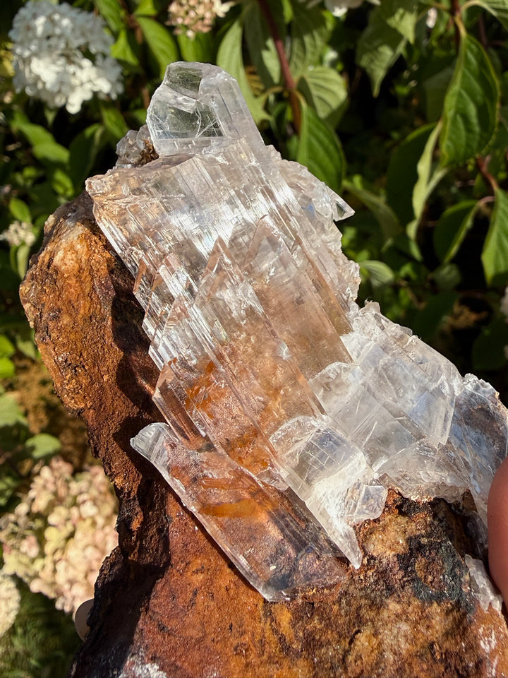 Quality Clear Gypsum Selenite Specimen from Guizhou