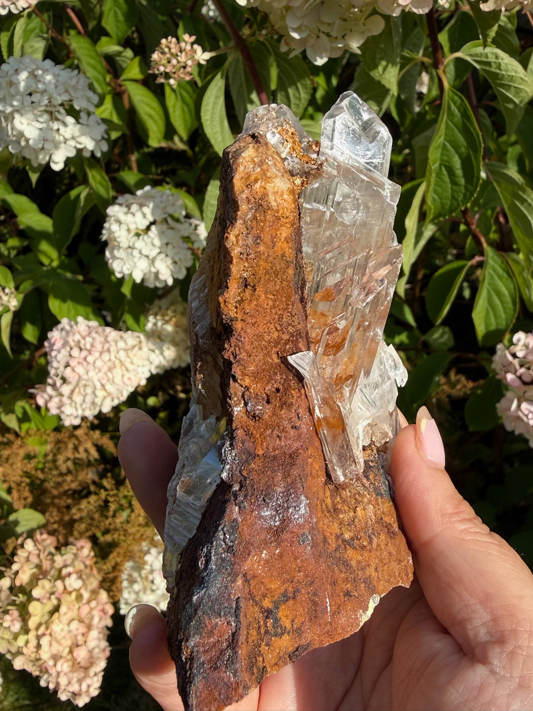 Quality Clear Gypsum Selenite Specimen from Guizhou