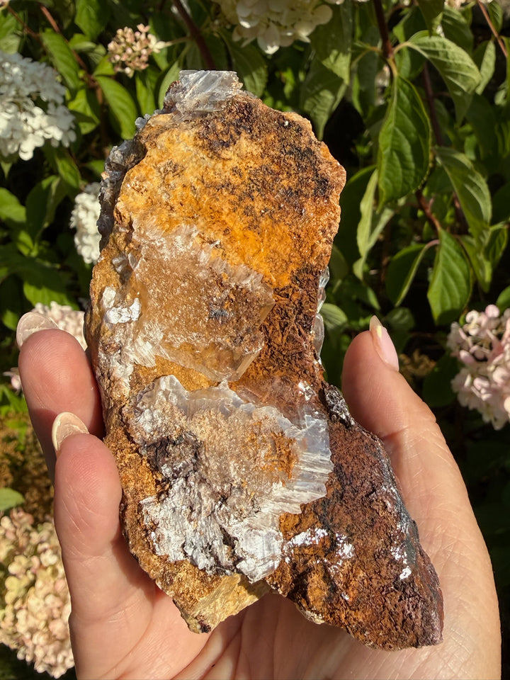 Quality Clear Gypsum Selenite Specimen from Guizhou