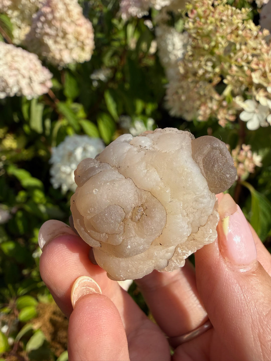 Panda Agate Womb Stone Specimen from Morocco