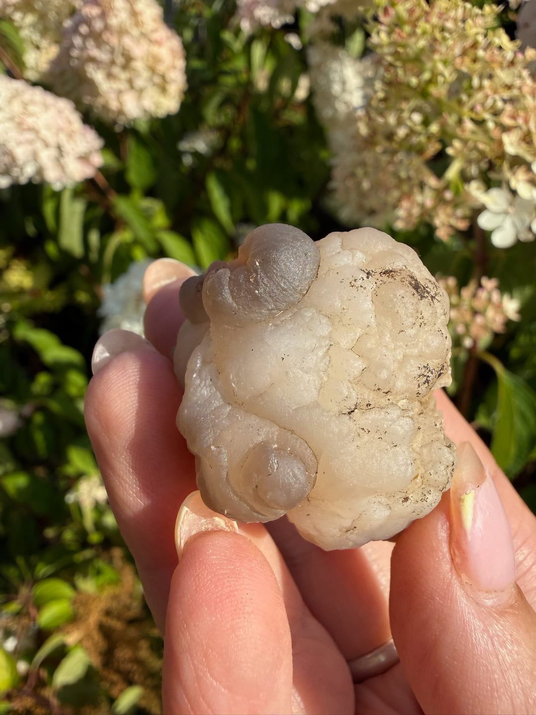 Panda Agate Womb Stone Specimen from Morocco