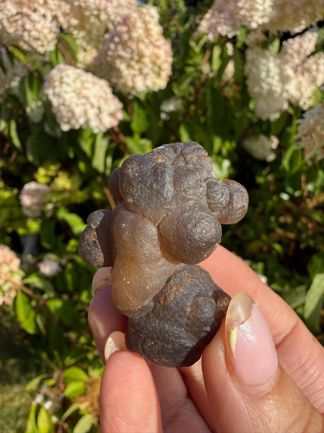 Panda Agate Womb Stone Specimen from Morocco