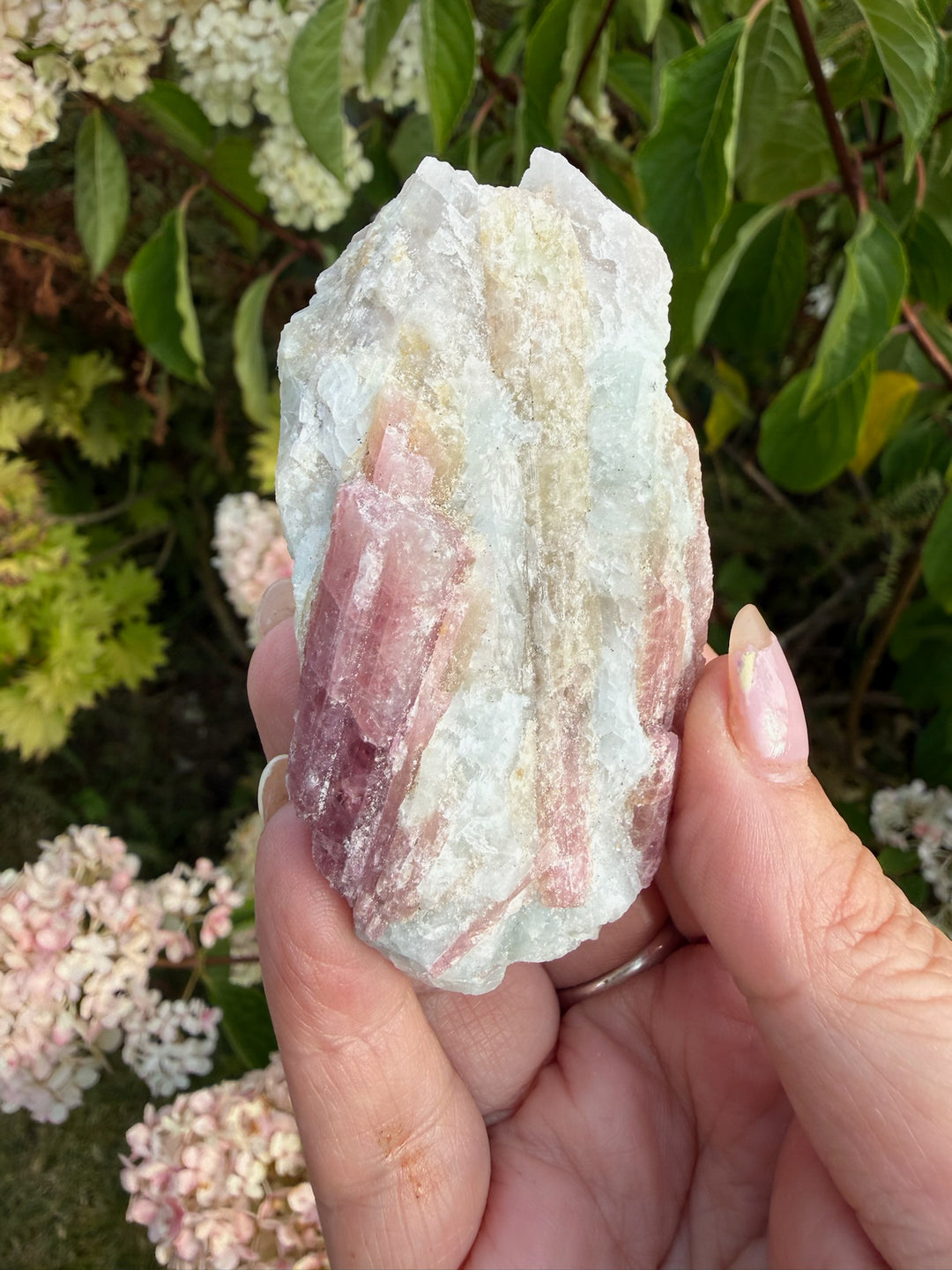 Pink Tourmaline in Matrix Specimen from Brazil
