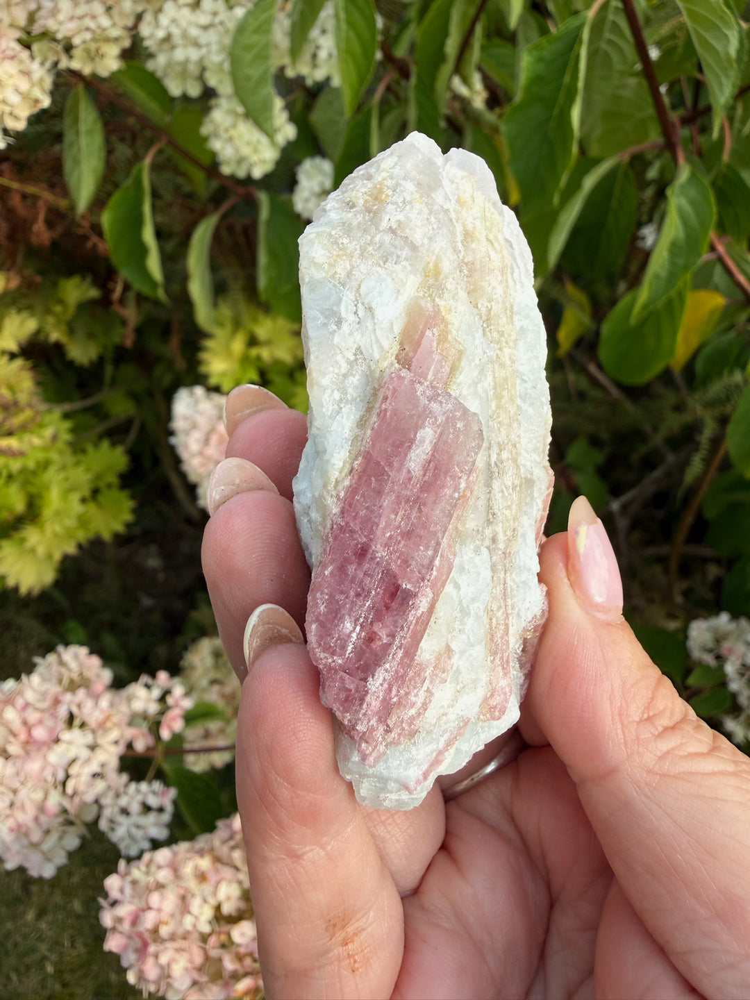 Pink Tourmaline in Matrix Specimen from Brazil