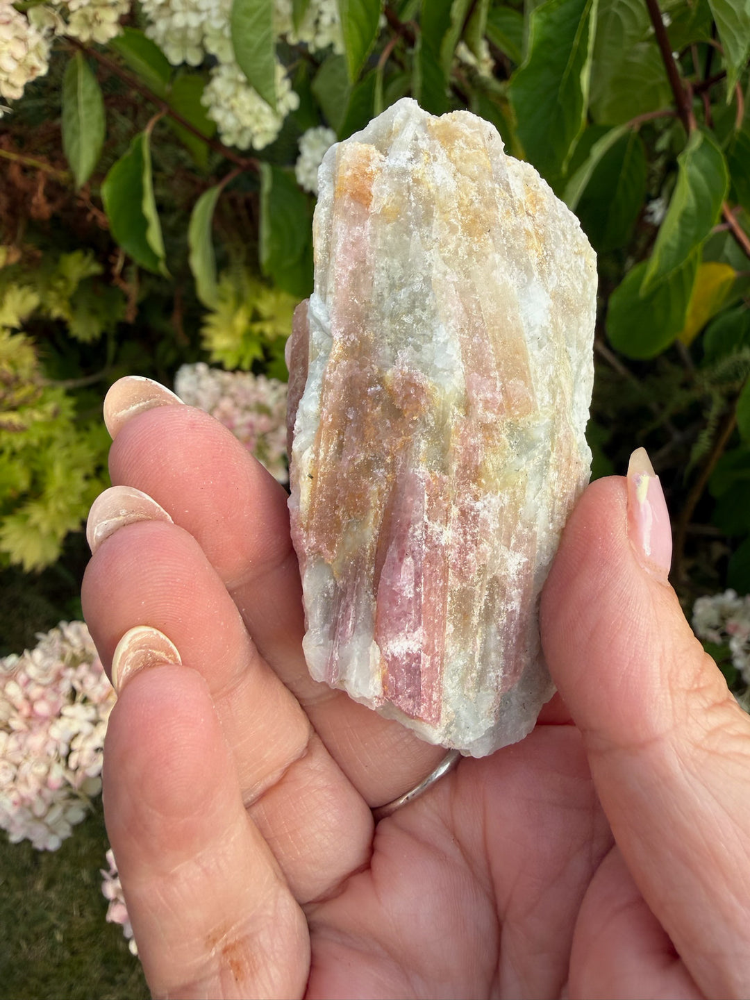 Pink Tourmaline in Matrix Specimen from Brazil