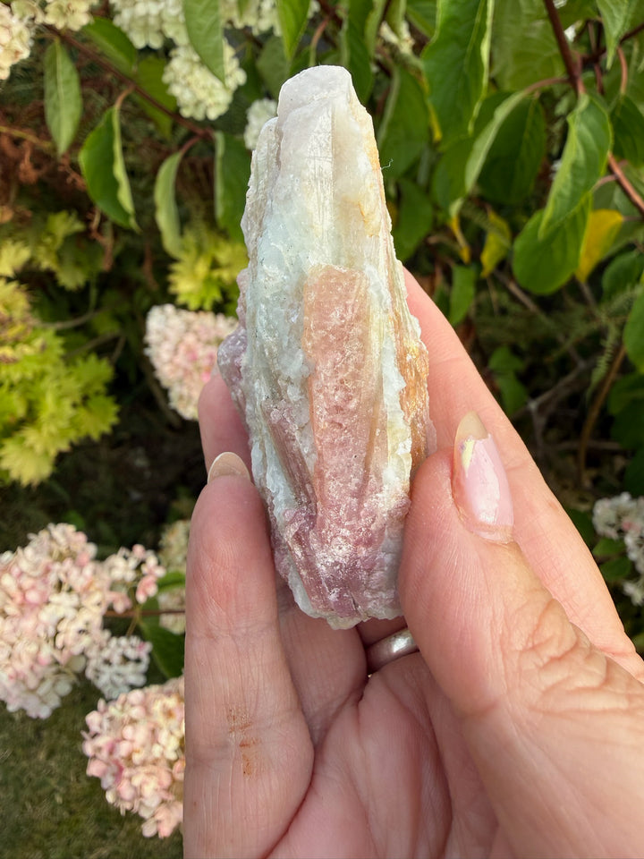 Pink Tourmaline in Matrix Specimen from Brazil