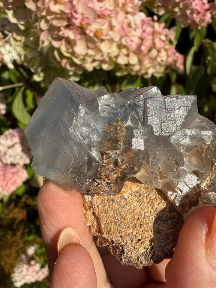 Blue Fluorite with Zoning Specimen from Pakistan