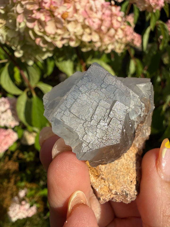 Blue Fluorite with Zoning Specimen from Pakistan