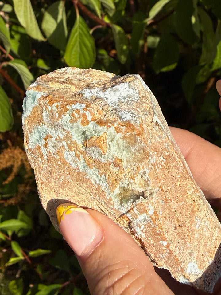 Druzy Chrysocolla Specimen