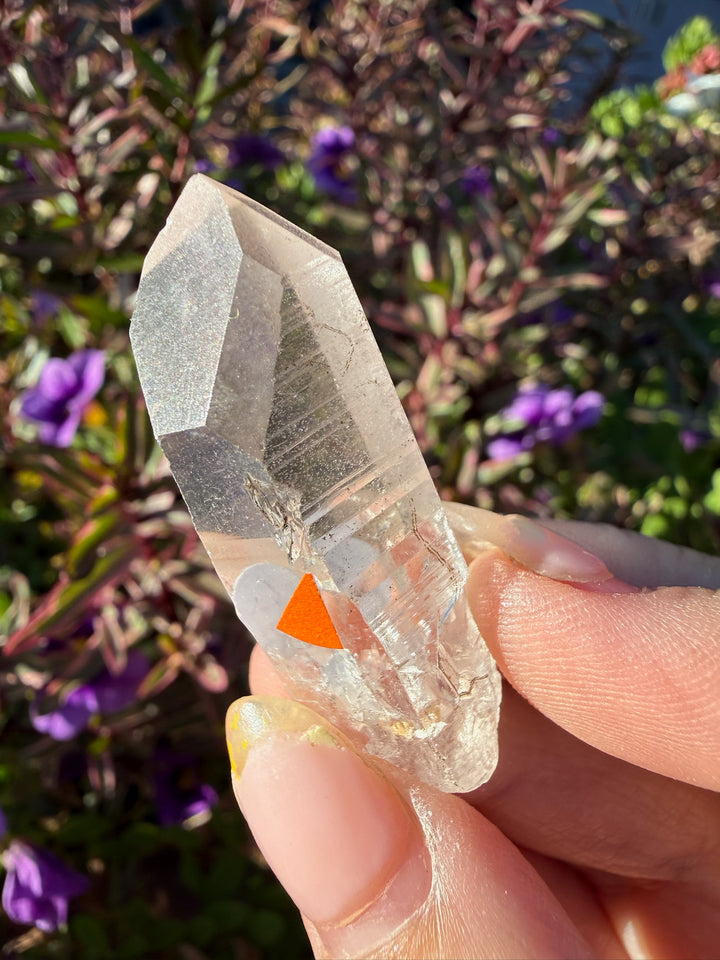Rare Lightning Strike Quartz Point Specimen