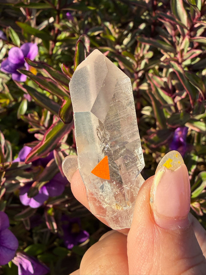 Rare Lightning Strike Quartz Point Specimen