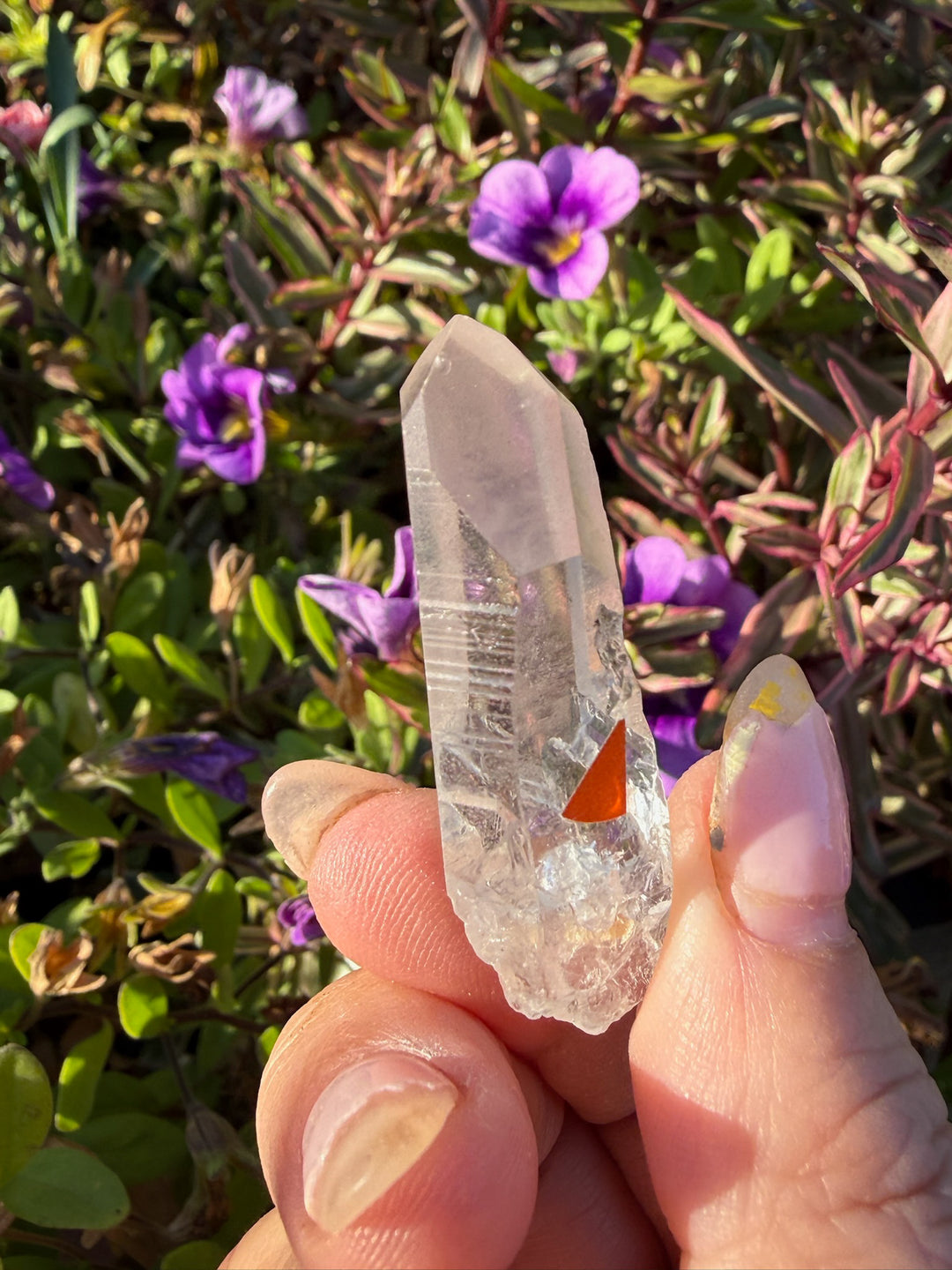 Rare Lightning Strike Quartz Point Specimen