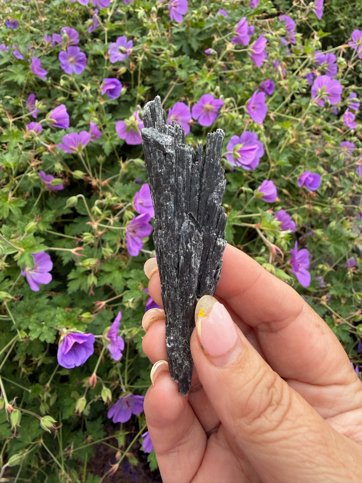 Black Kyanite Spray Specimen