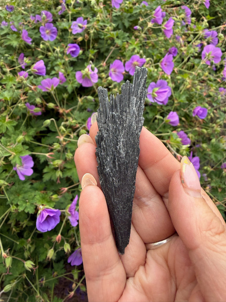 Black Kyanite Spray Specimen