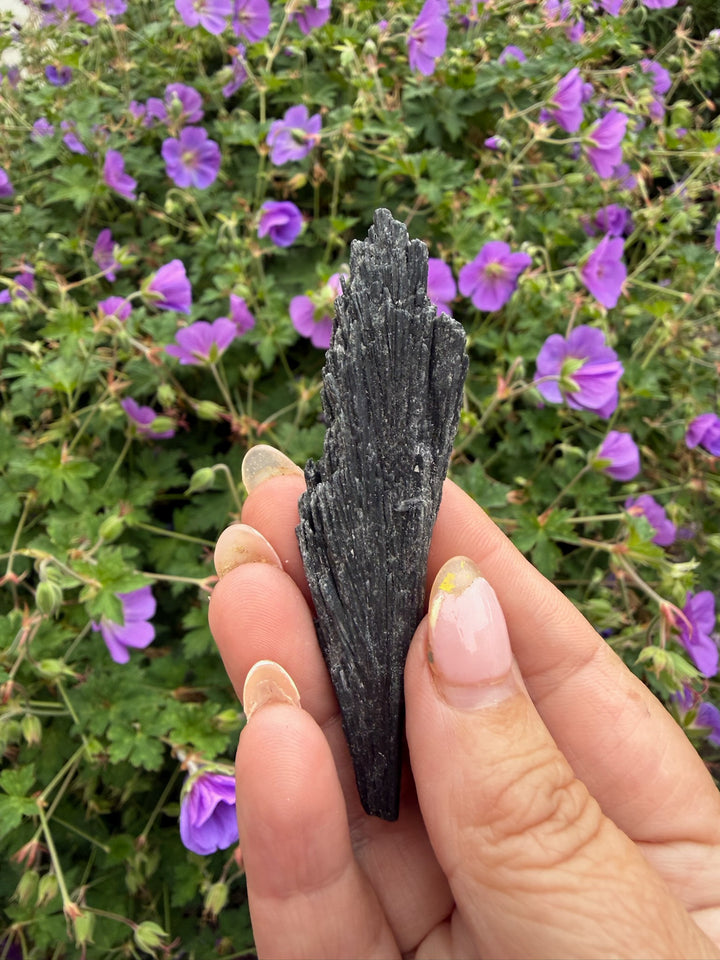 Black Kyanite Spray Specimen