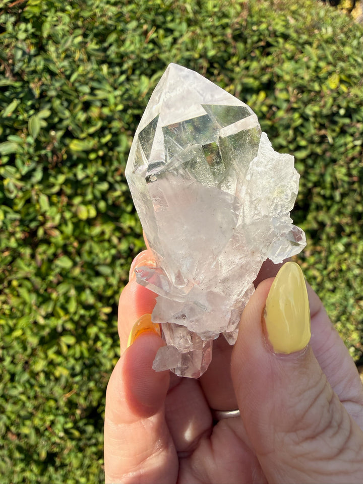 Clear Arkansas Quartz Point Cluster Specimen