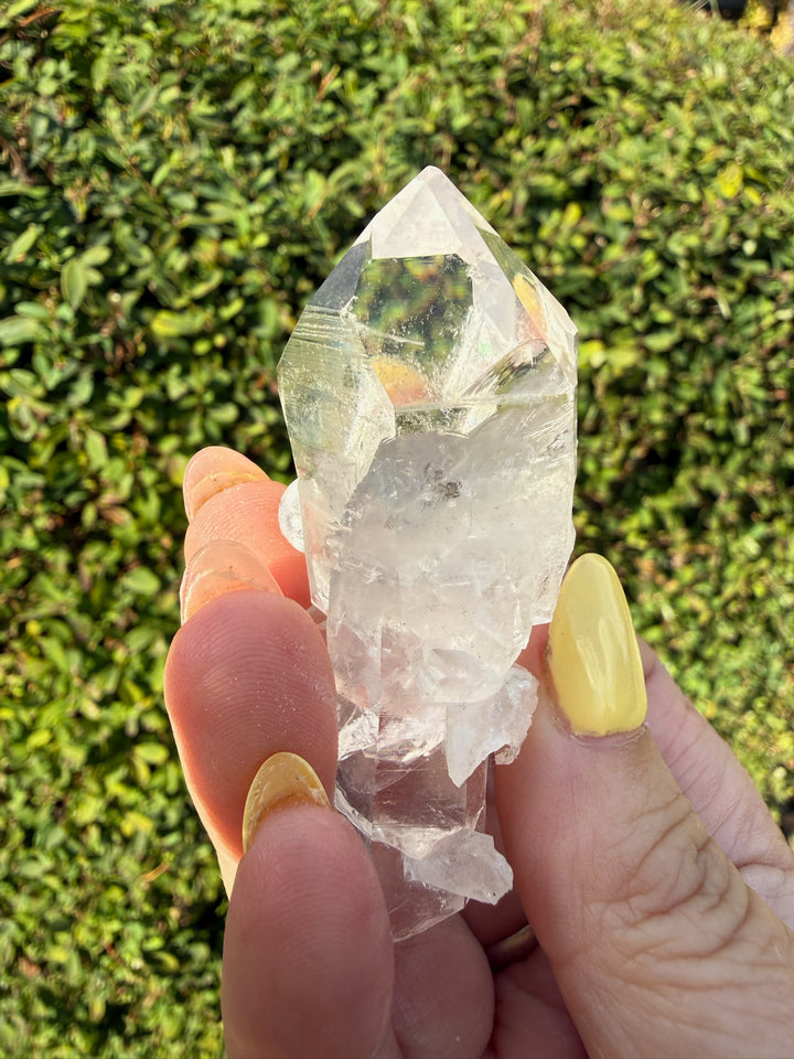Clear Arkansas Quartz Point Cluster Specimen