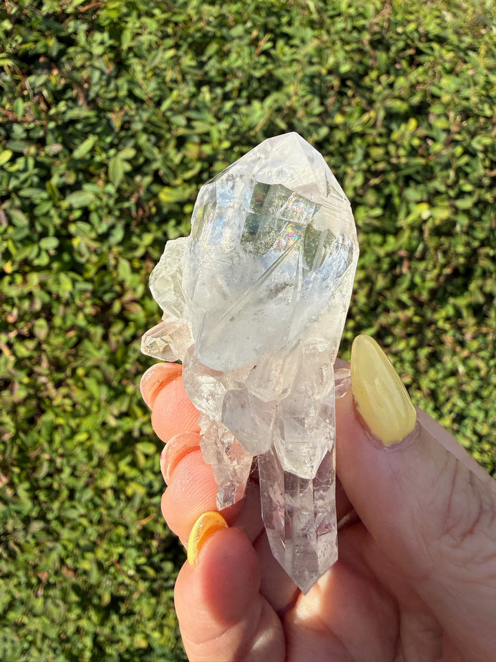 Clear Arkansas Quartz Point Cluster Specimen