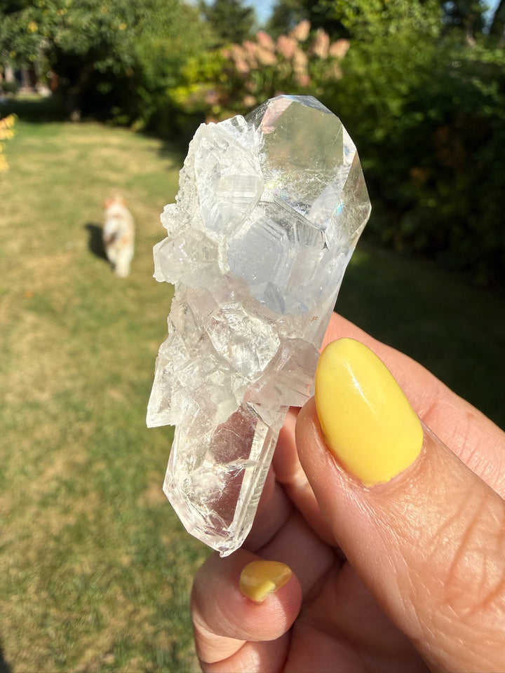 Clear Arkansas Quartz Point Cluster Specimen