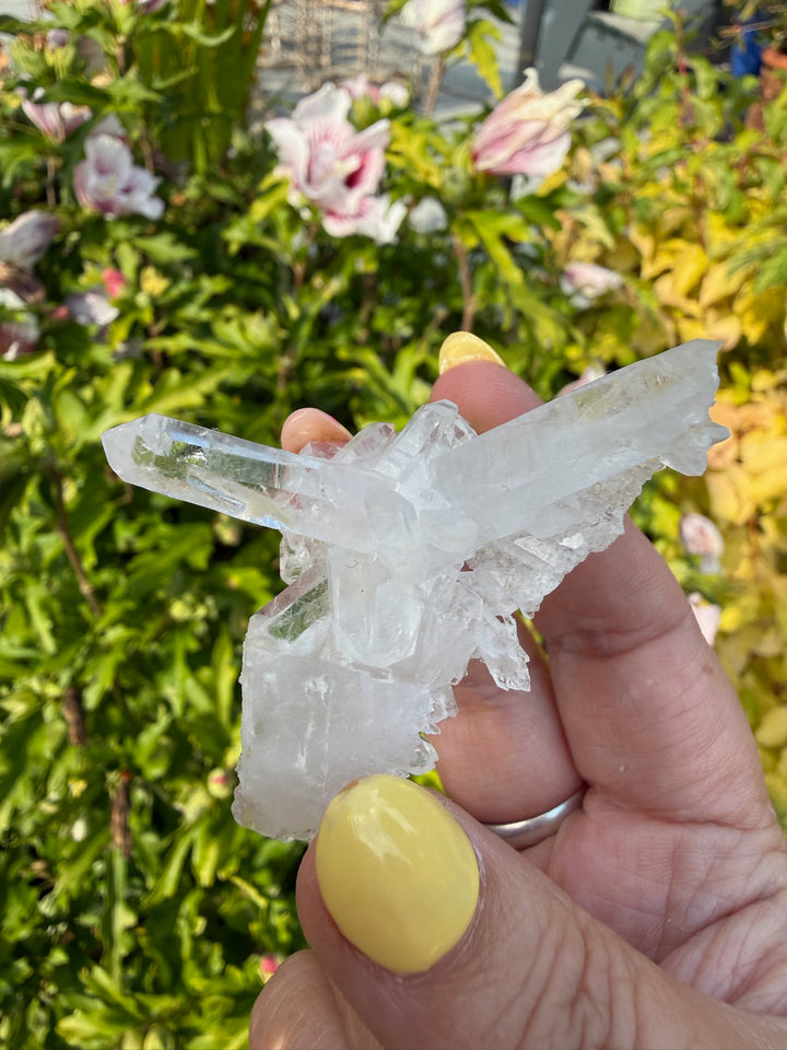 Clear Arkansas Quartz Point Cluster Specimen