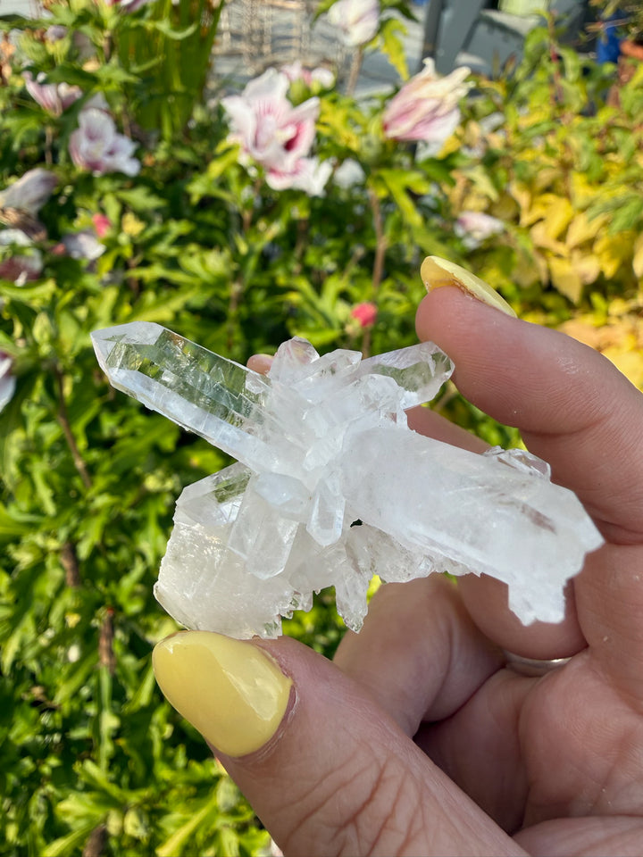 Clear Arkansas Quartz Point Cluster Specimen
