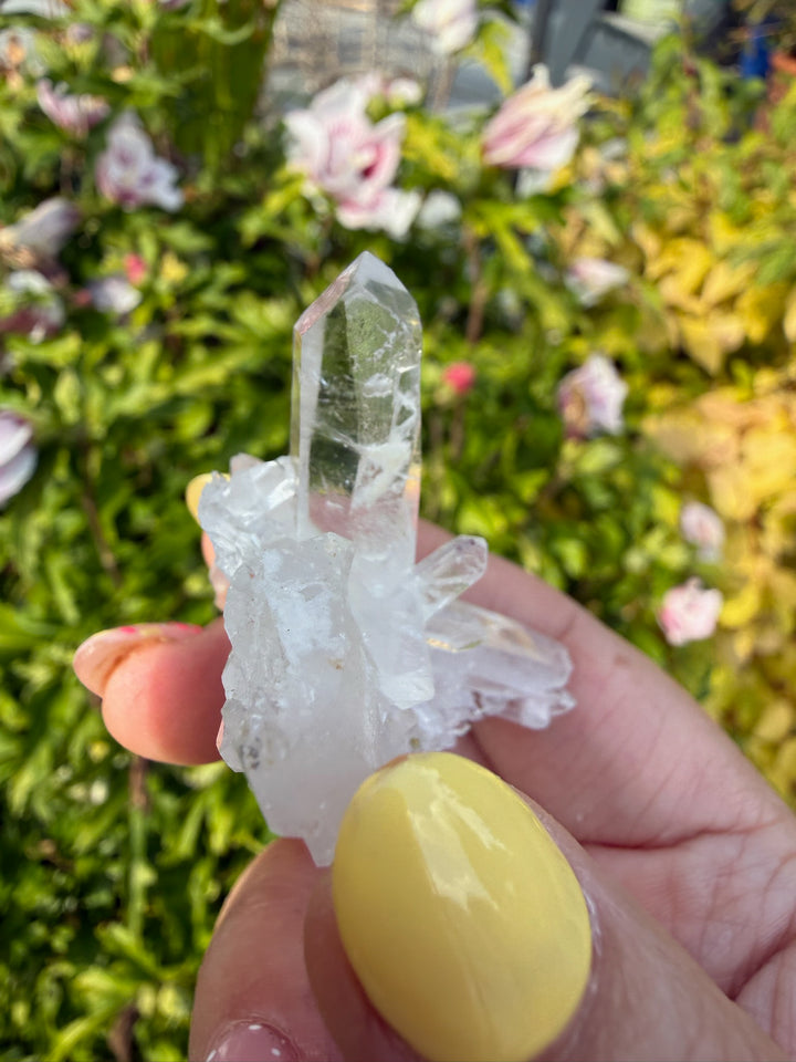 Clear Arkansas Quartz Point Cluster Specimen