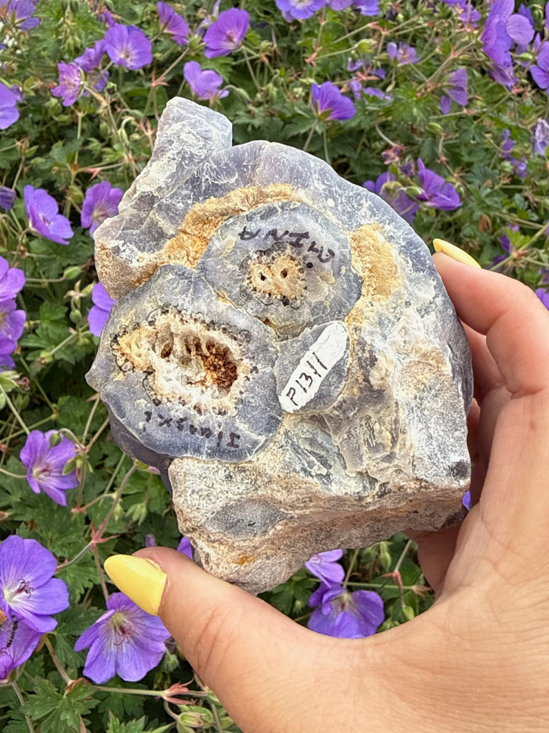 Large Rare Purple Botryoidal Stalactite Fluorite from Jiangxi