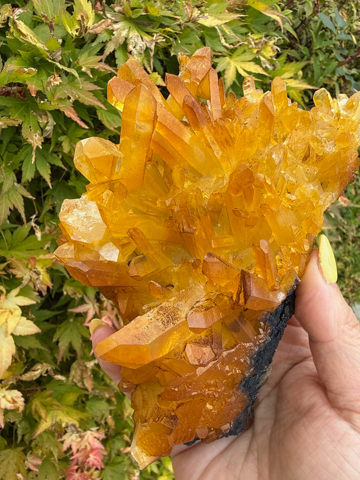 Natural Iridescent Quartz Cluster Specimen from South Africa