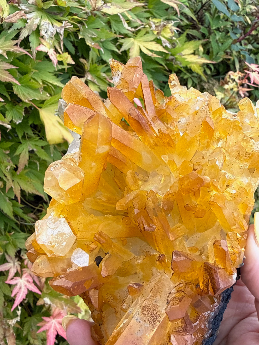 Natural Iridescent Quartz Cluster Specimen from South Africa