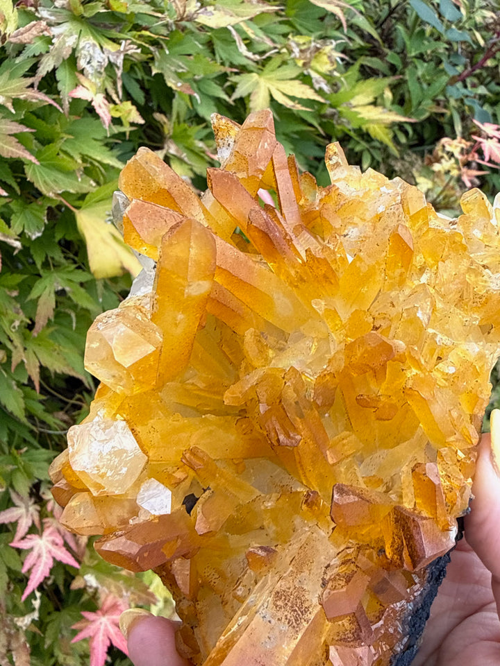 Natural Iridescent Quartz Cluster Specimen from South Africa