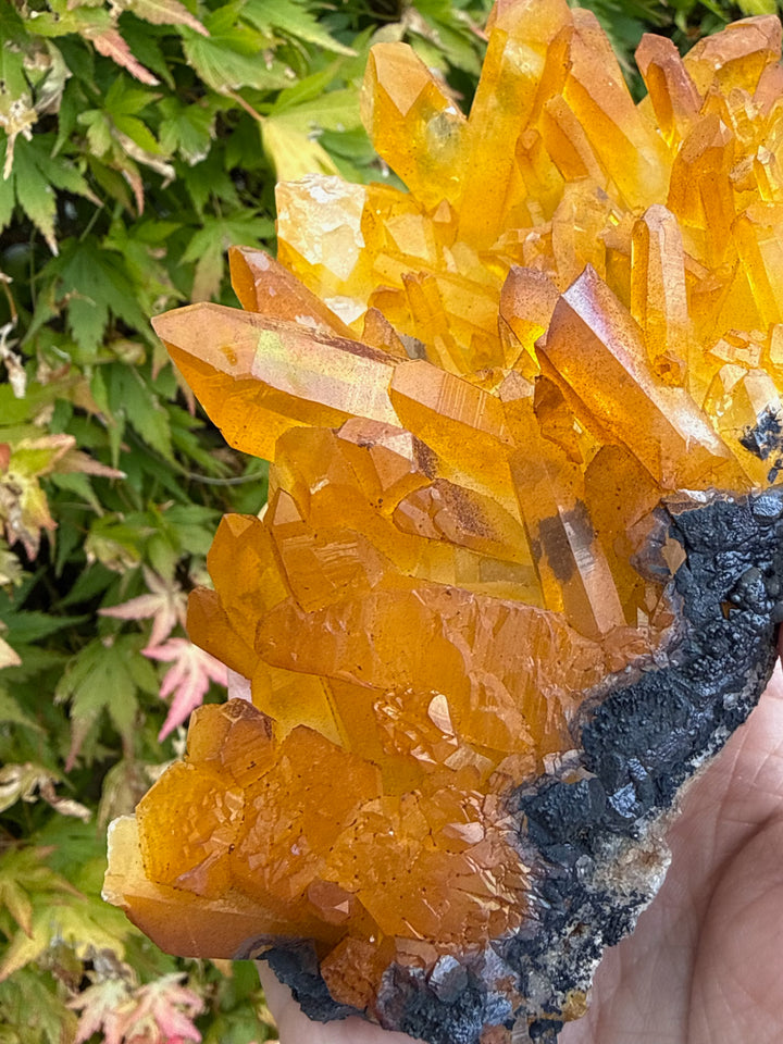 Natural Iridescent Quartz Cluster Specimen from South Africa
