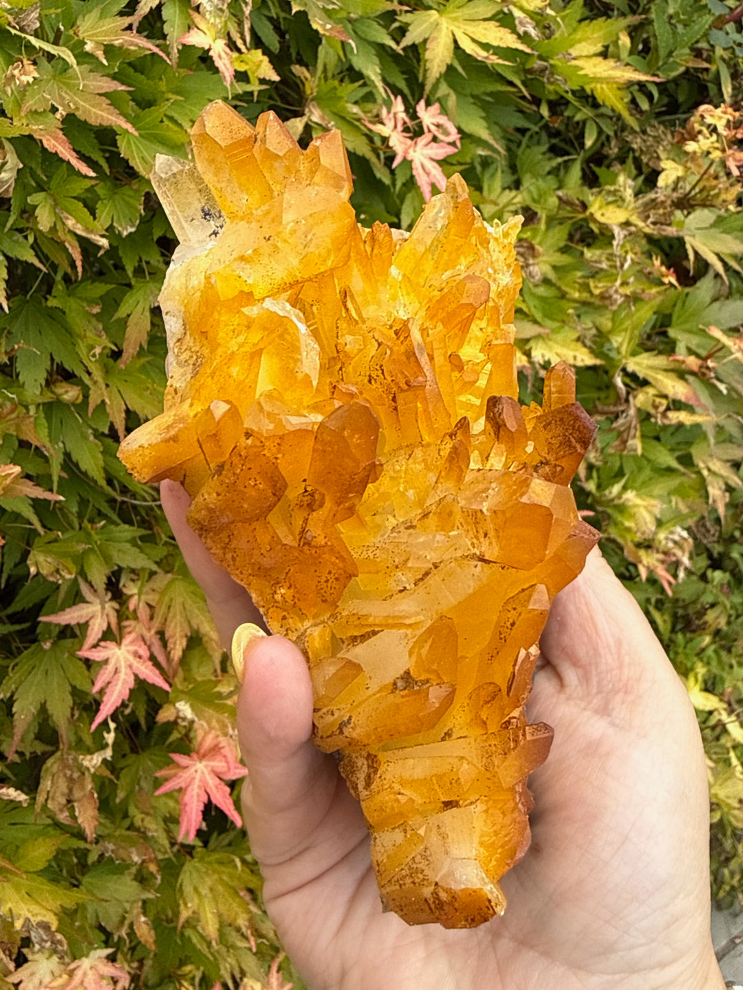 Natural Iridescent Quartz Cluster Specimen from South Africa