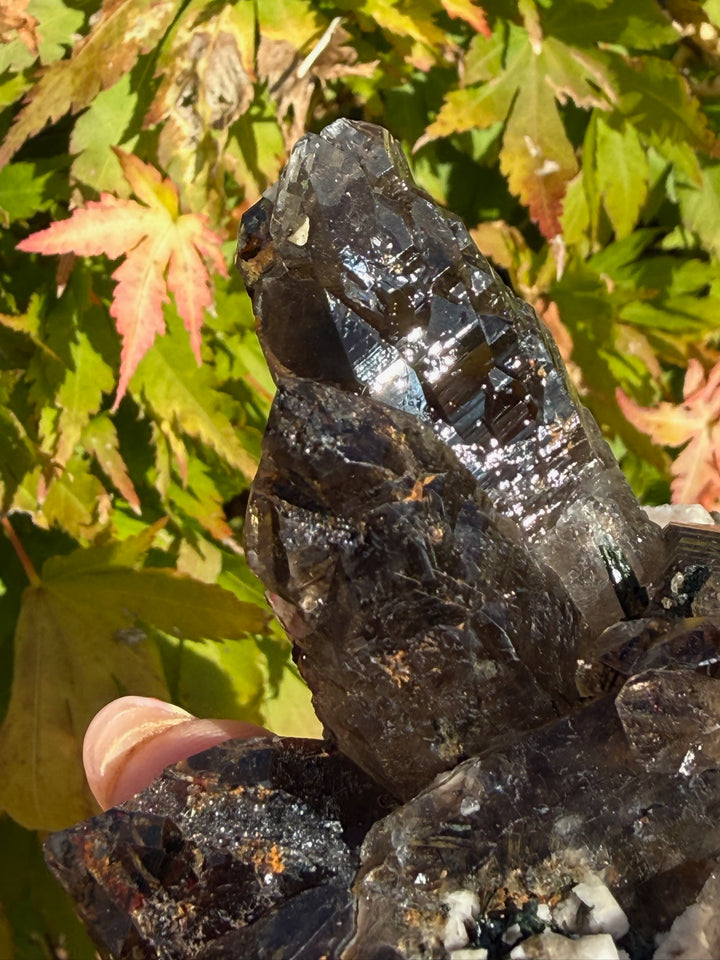 Smoky Quartz with Albite and Aegerine Specimen from Malawi