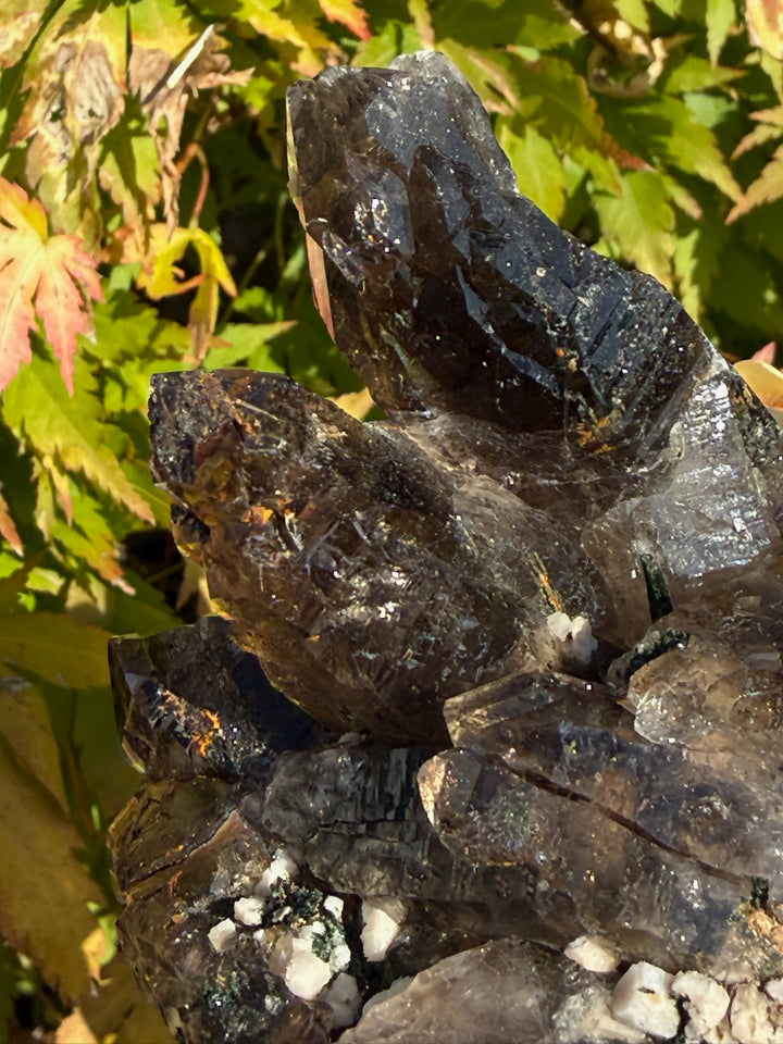 Smoky Quartz with Albite and Aegerine Specimen from Malawi