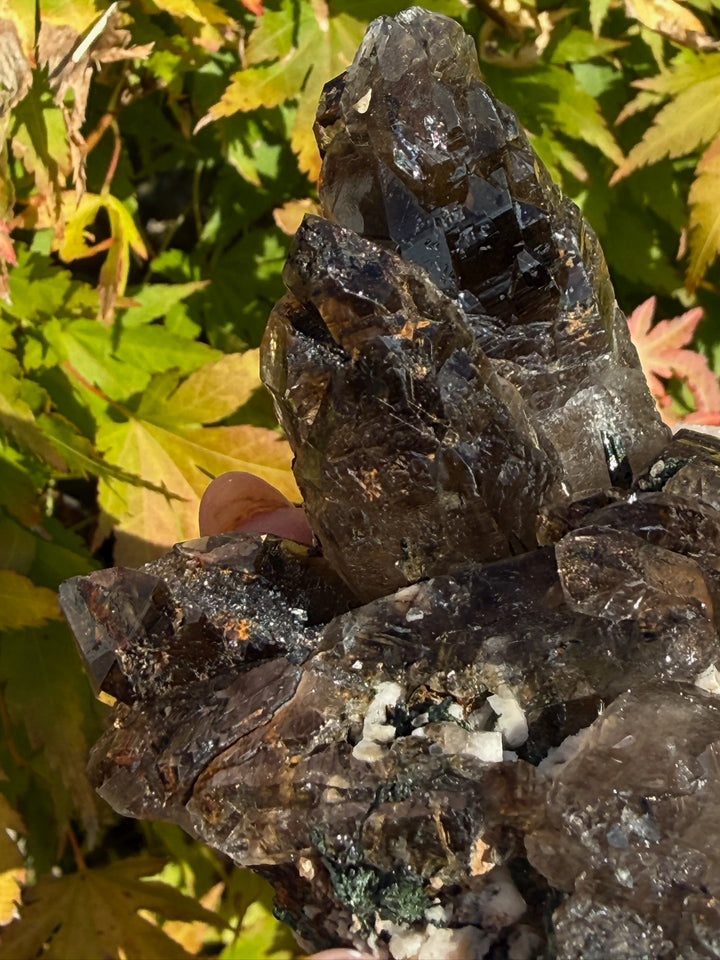 Smoky Quartz with Albite and Aegerine Specimen from Malawi