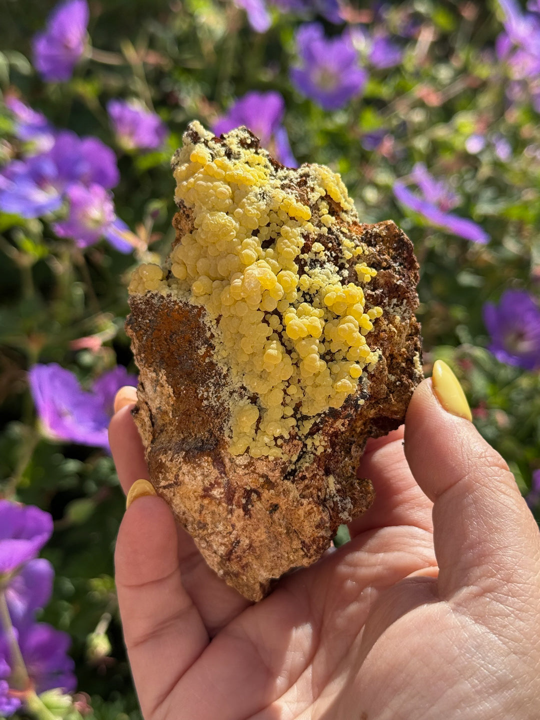 Large Mimetite Specimen from Durango Mexico