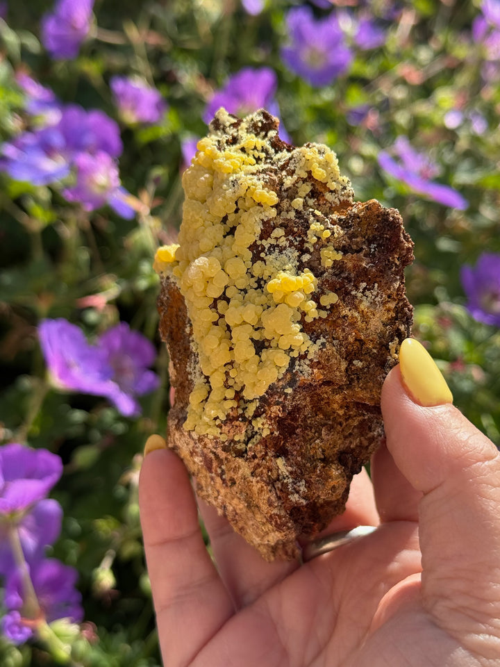Large Mimetite Specimen from Durango Mexico