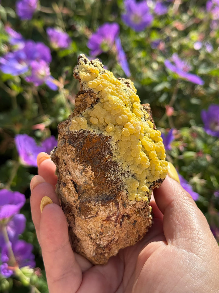 Large Mimetite Specimen from Durango Mexico