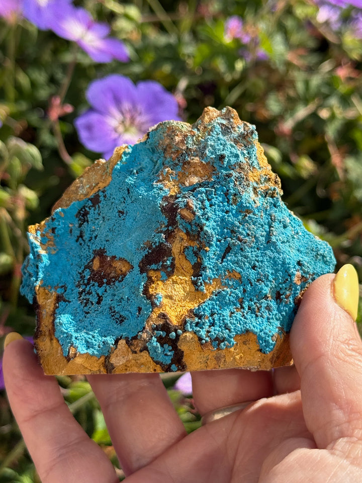 Freestanding Shattuckite Specimen from Congo