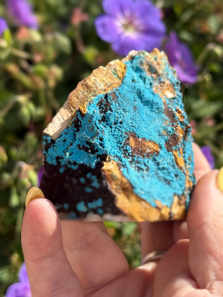 Freestanding Shattuckite Specimen from Congo