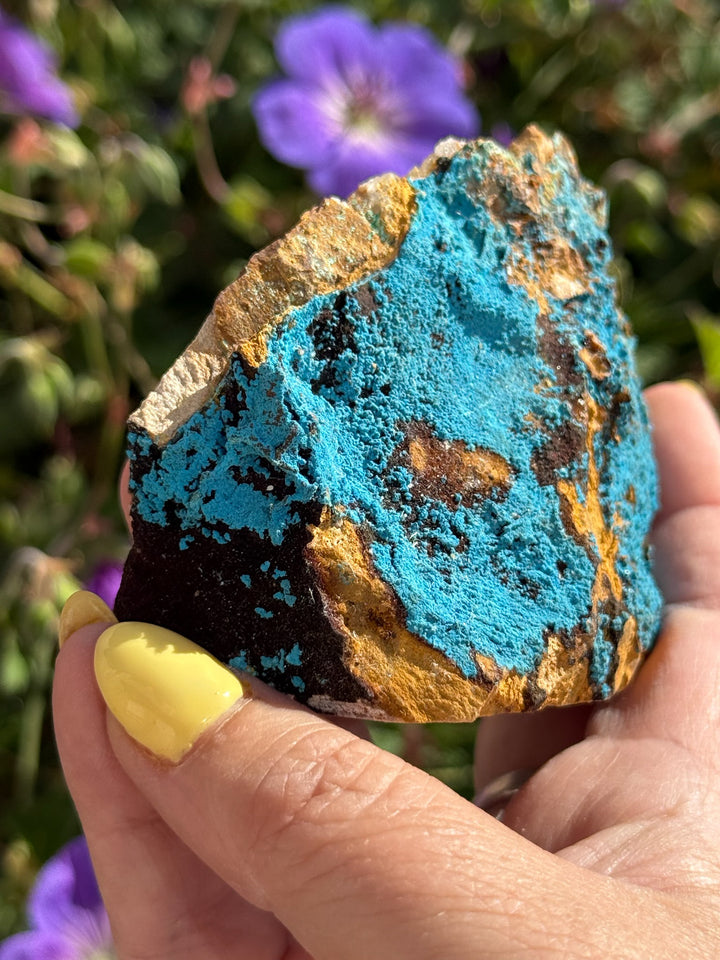 Freestanding Shattuckite Specimen from Congo