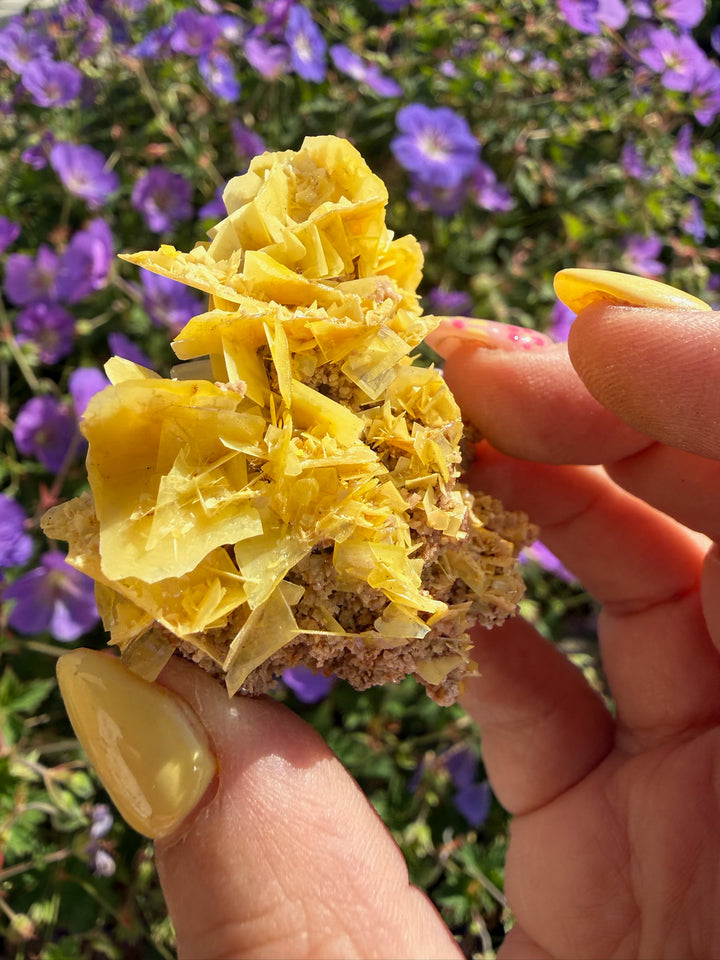 Yellow Wulfenite Specimen from Morocco