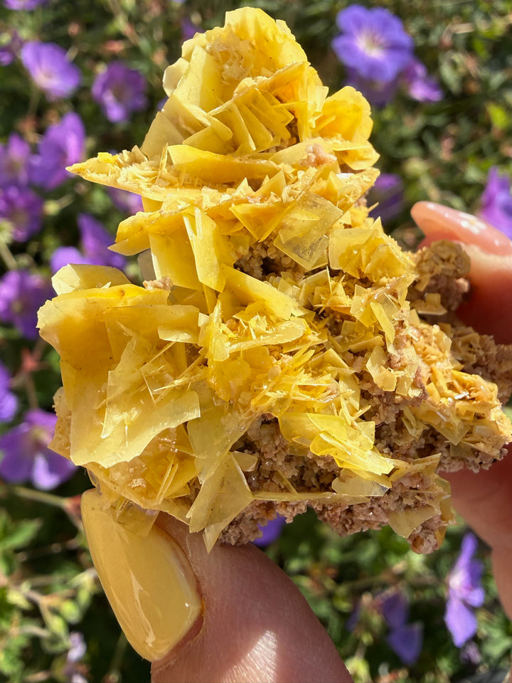 Yellow Wulfenite Specimen from Morocco