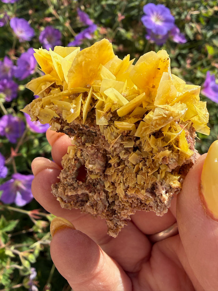 Yellow Wulfenite Specimen from Morocco