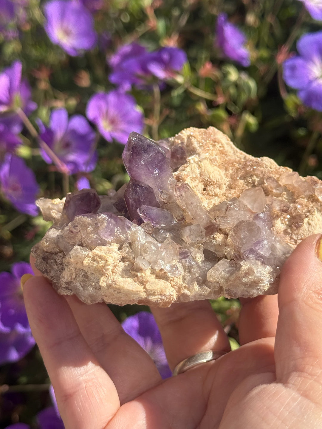 Brandberg Amethyst Specimen from Goboboseb